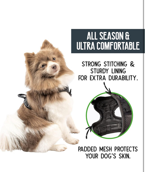 Pet Craft Supply Premium Dog Harness