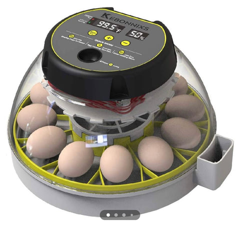 Brand: KEBONNIXS
4.4
12 Egg Incubator with Humidity Display, Egg Candler, Automatic
Egg Turner, for Hatching Chickens