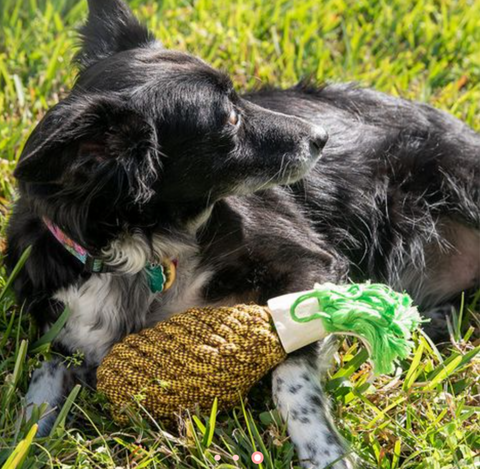 Pineapple Dog Toy