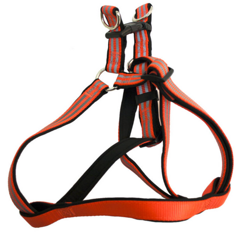 Master Paws® Adjustable Step-In Orange Reflective Dog Harness - Medium