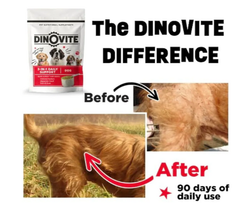 Dinovite Probiotics for Dogs – Promotes Healthy Skin & Coat with Omega 3 for Dogs