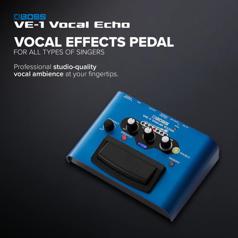 BOSS Vocal Echo Effects Processor Stompbox Guitar Pedal